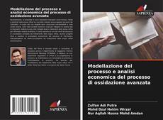 Bookcover of Modellazione del processo e analisi economica del processo di ossidazione avanzata