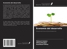 Economía del desarrollo kitap kapağı
