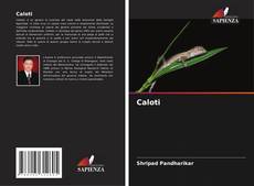 Couverture de Caloti