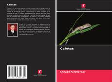 Borítókép a  Calotas - hoz