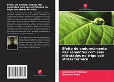 Bookcover of Efeito do endurecimento das sementes com sais nitratados no trigo sob stress térmico