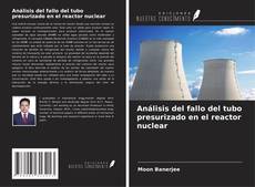 Bookcover of Análisis del fallo del tubo presurizado en el reactor nuclear