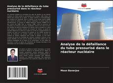 Copertina di Analyse de la défaillance du tube pressurisé dans le réacteur nucléaire