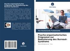 Buchcover von Psycho-organisatorisches Programm zur Reduzierung des Burnout-Syndroms