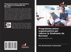 Programma psico-organizzativo per ridurre la Sindrome da Burnout kitap kapağı