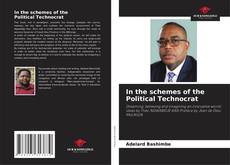 Copertina di In the schemes of the Political Technocrat