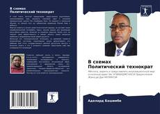 Buchcover von В схемах Политический технократ