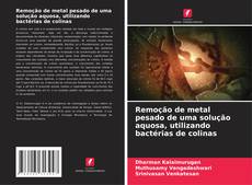 Buchcover von Remoção de metal pesado de uma solução aquosa, utilizando bactérias de colinas
