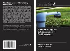Nitrato en aguas subterráneas y fertilizantes kitap kapağı