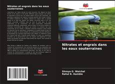 Bookcover of Nitrates et engrais dans les eaux souterraines