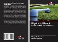 Borítókép a  Nitrati e fertilizzanti nelle acque sotterranee - hoz