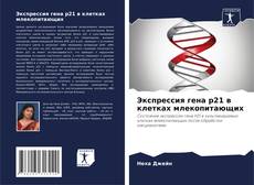 Buchcover von Экспрессия гена p21 в клетках млекопитающих