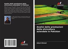 Buchcover von Analisi delle prestazioni della silvicoltura aziendale in Pakistan