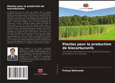 Borítókép a  Plantes pour la production de biocarburants - hoz