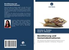 Bookcover of Bevölkerung und Gemeindestrukturen