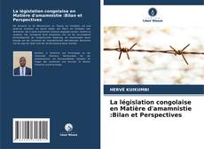 Bookcover of La législation congolaise en Matière d'amamnistie :Bilan et Perspectives