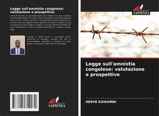 Bookcover of Legge sull'amnistia congolese: valutazione e prospettive