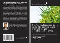 Bookcover of Efectos mutagénicos de la radiación gamma sobre algunos rasgos económicos del arroz