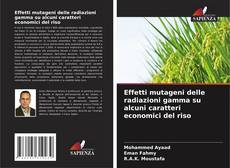 Bookcover of Effetti mutageni delle radiazioni gamma su alcuni caratteri economici del riso