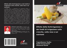 Bookcover of Effetto della fertirrigazione e dei livelli di irrigazione sulla crescita, sulla resa e sui nutrienti
