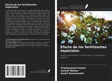 Buchcover von Efecto de los fertilizantes especiales