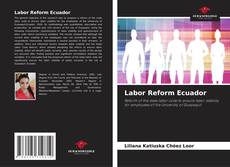Bookcover of Labor Reform Ecuador