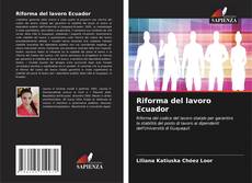 Bookcover of Riforma del lavoro Ecuador