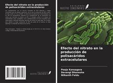 Capa do livro de Efecto del nitrato en la producción de polisacáridos extracelulares 