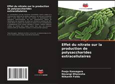 Couverture de Effet du nitrate sur la production de polysaccharides extracellulaires