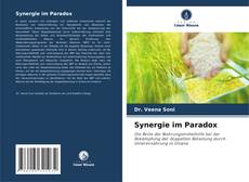 Capa do livro de Synergie im Paradox 