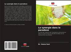 Buchcover von La synergie dans le paradoxe