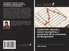 Copertina di Catástrofe natural y sector energético y panorama de la economía de Bangladesh