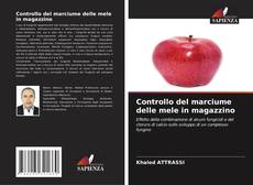 Bookcover of Controllo del marciume delle mele in magazzino