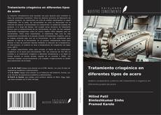 Обложка Tratamiento criogénico en diferentes tipos de acero