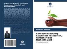 Capa do livro de Aufwachen: Nutzung natürlicher Ressourcen, Wirtschaft und Nachhaltigkeit 