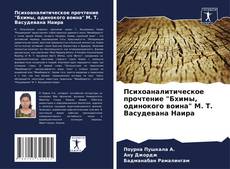 Buchcover von Психоаналитическое прочтение "Бхимы, одинокого воина" М. Т. Васудевана Наира