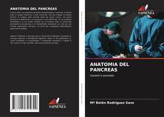 Bookcover of ANATOMIA DEL PANCREAS