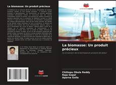 Borítókép a  La biomasse: Un produit précieux - hoz