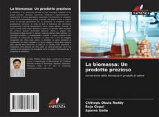 La biomassa: Un prodotto prezioso kitap kapağı