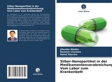 Обложка Silber-Nanopartikel in der Medikamentenverabreichung: Vom Labor zum Krankenbett