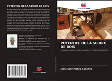Bookcover of POTENTIEL DE LA SCIURE DE BOIS