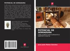 Buchcover von POTENCIAL DE SERRADURA