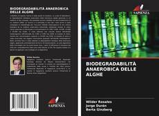 BIODEGRADABILITÀ ANAEROBICA DELLE ALGHE的封面