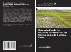Portada del libro de Degradación de los recursos naturales en las tierras bajas de Burkina Faso