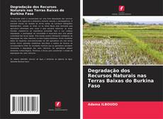 Copertina di Degradação dos Recursos Naturais nas Terras Baixas do Burkina Faso