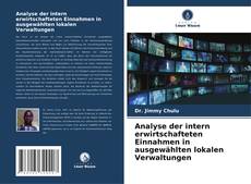 Capa do livro de Analyse der intern erwirtschafteten Einnahmen in ausgewählten lokalen Verwaltungen 