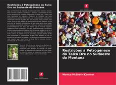 Copertina di Restrições à Petrogénese do Talco Ore no Sudoeste do Montana