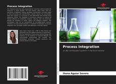 Process Integration的封面