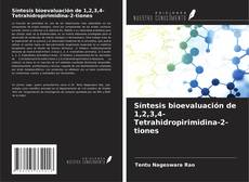 Capa do livro de Síntesis bioevaluación de 1,2,3,4-Tetrahidropirimidina-2-tiones 