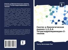 Copertina di Синтез и биологическая оценка 1,2,3,4-Тетрагидропиримидин-2-тионов